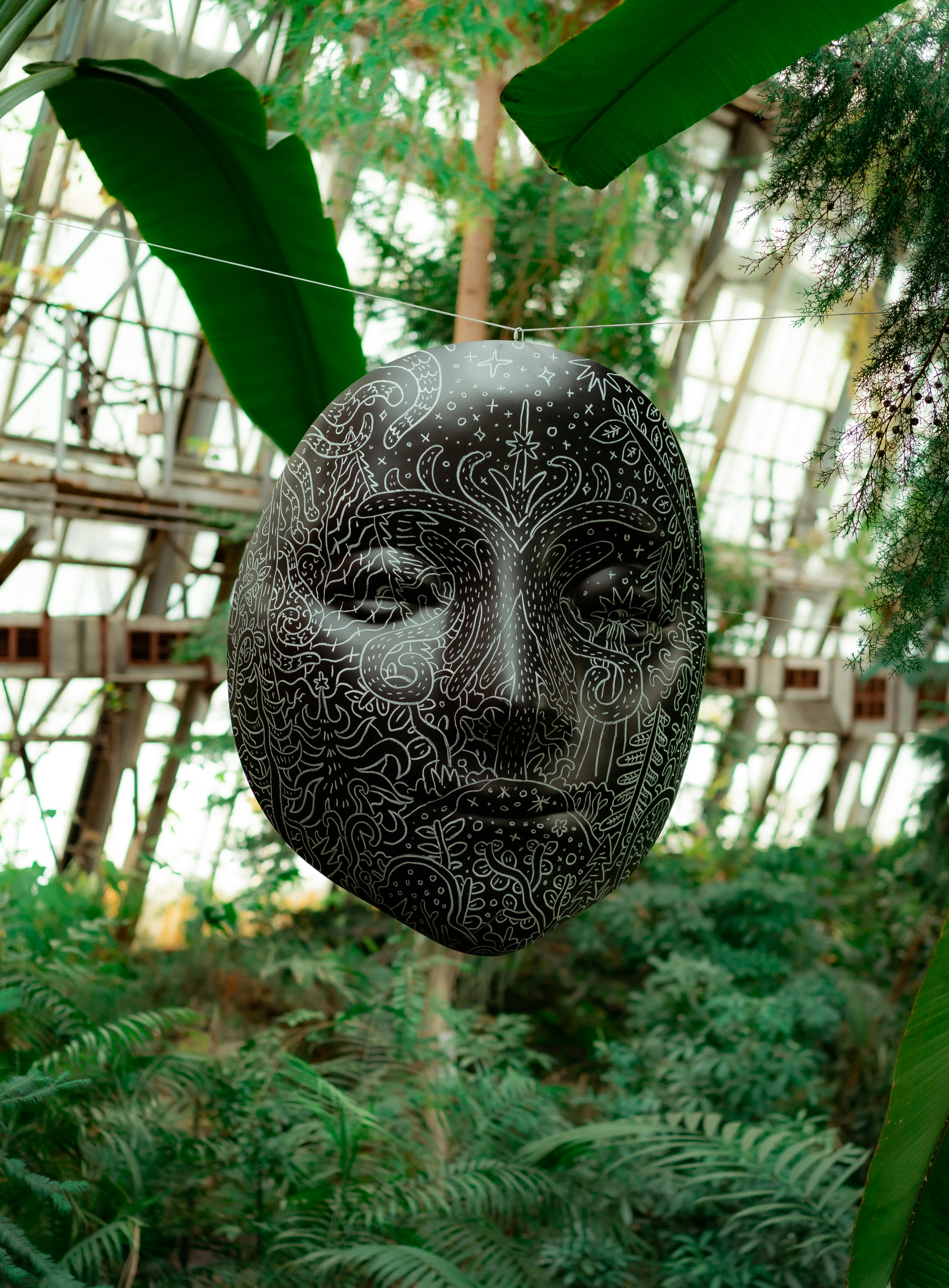 A mask hanging from a tree in a greenhouse photo – Free Vegetation ...