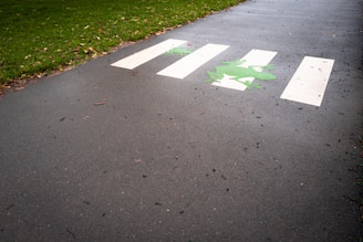 A crosswalk painted on a wet pathway with a whimsical green frog design in the center. The surrounding area has some scattered leaves and is lined with green grass.