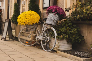 A colorful commuter bike with a basket full of fresh flowers parked outside a café