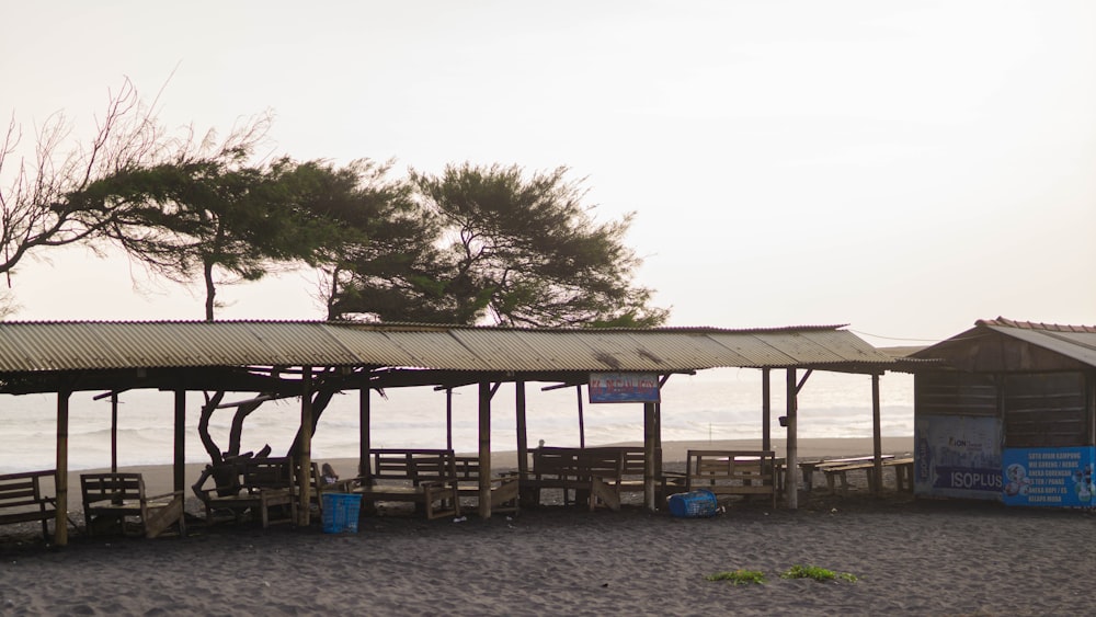 un grupo de bancos sentados en la parte superior de una playa de arena