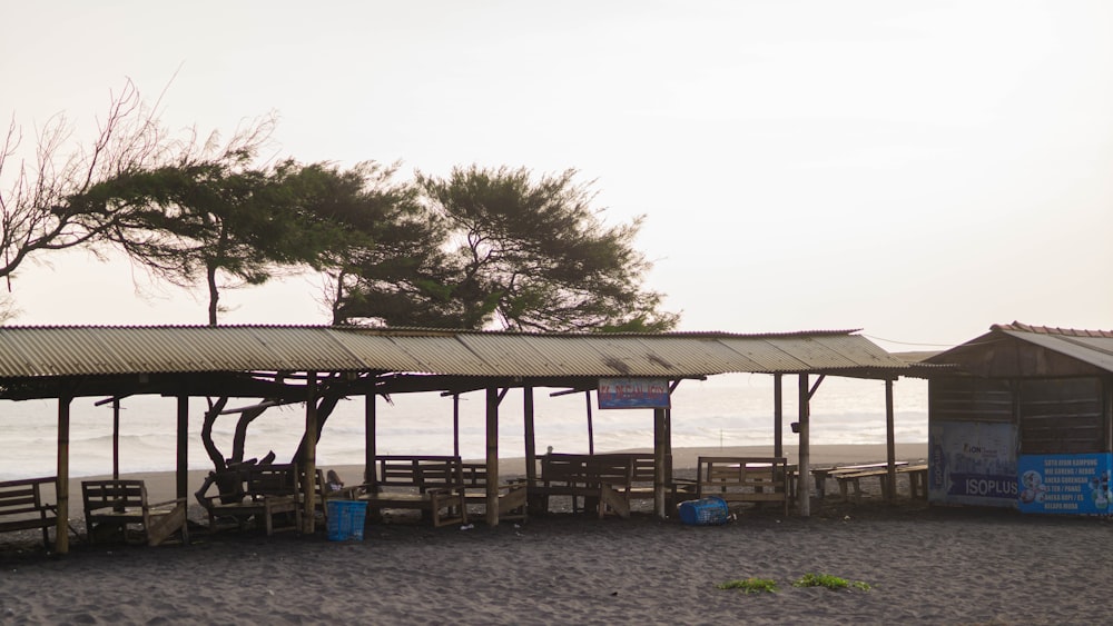 a group of benches sitting on top of a sandy beach