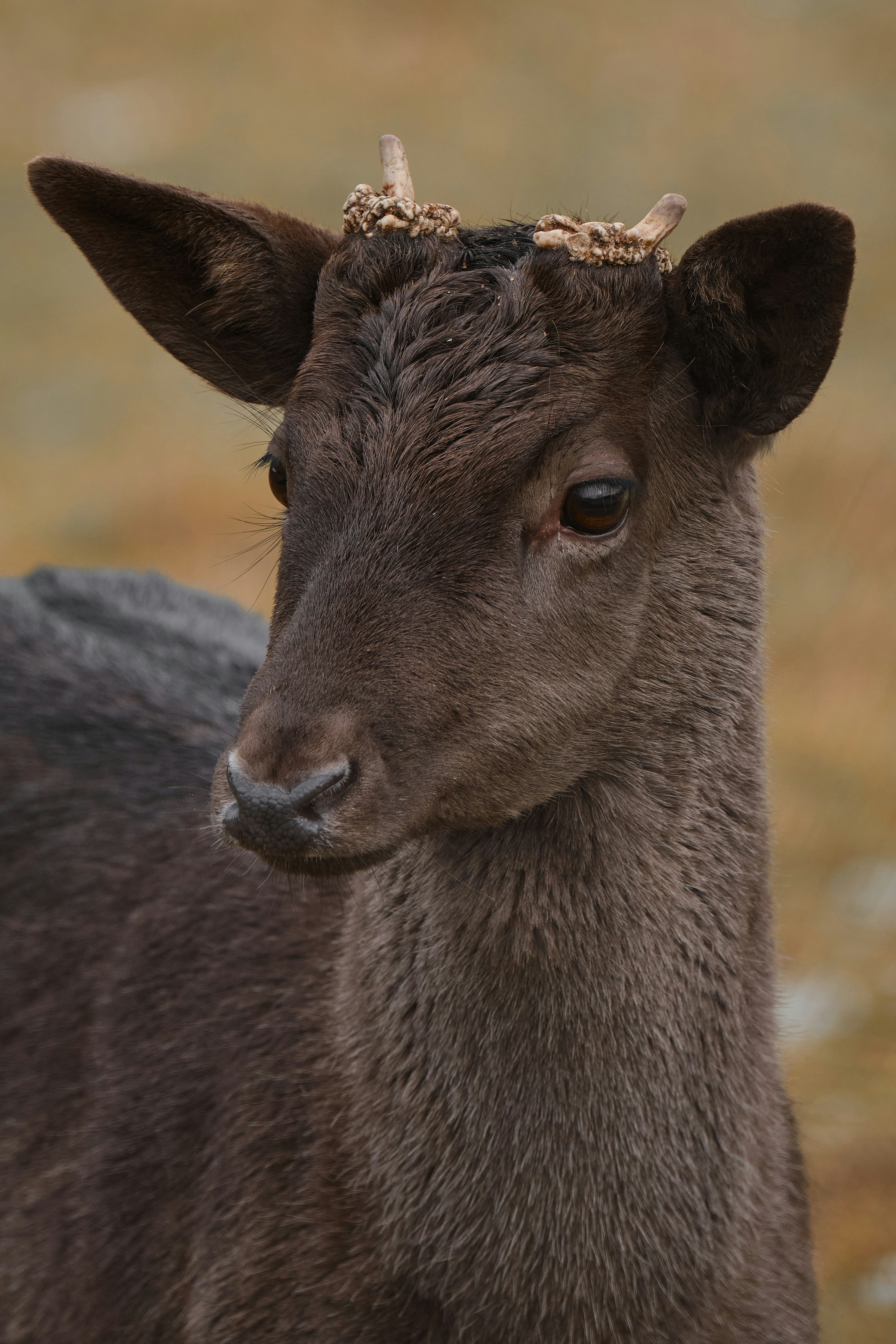 Photo by timschmidbauer