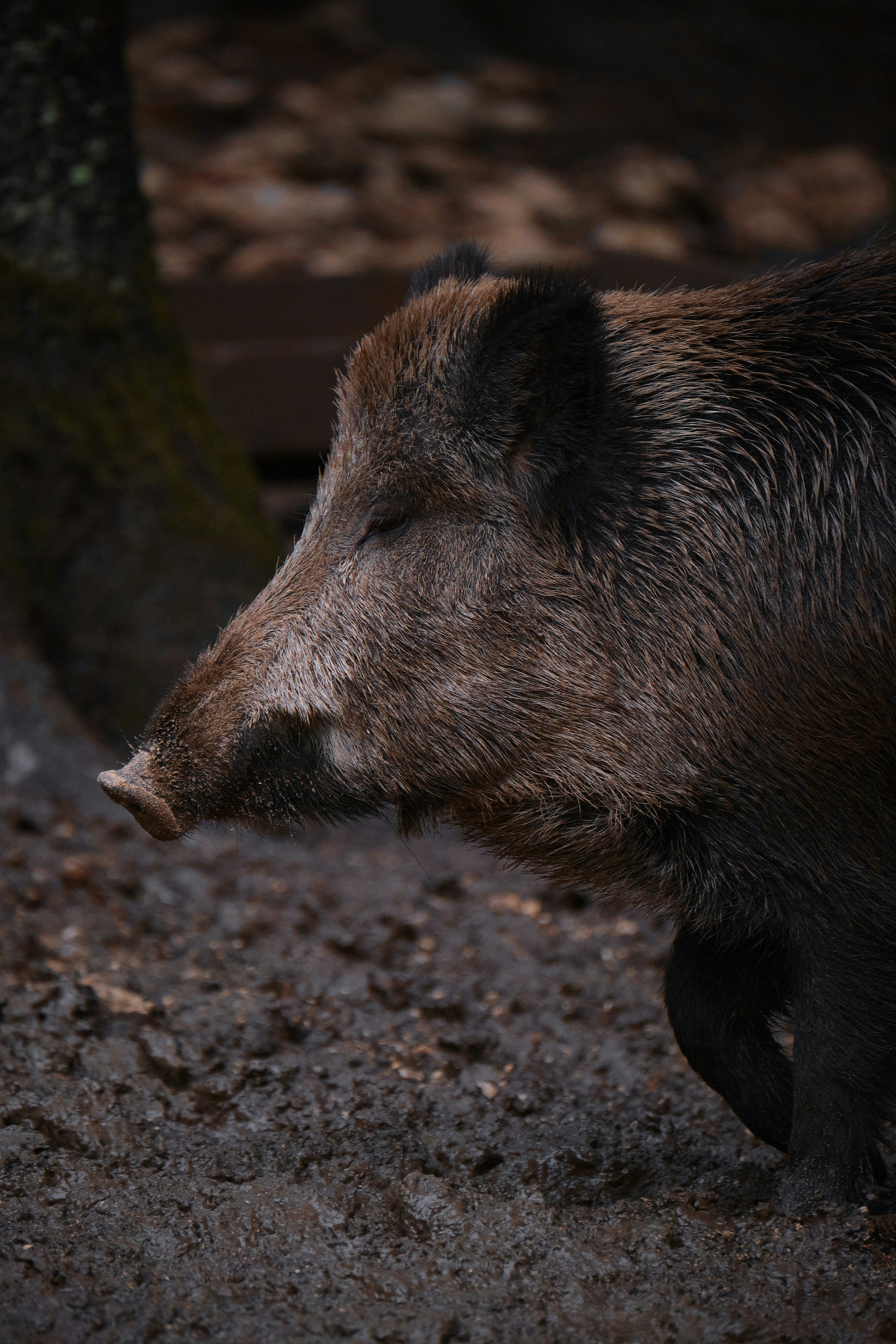 Photo by timschmidbauer