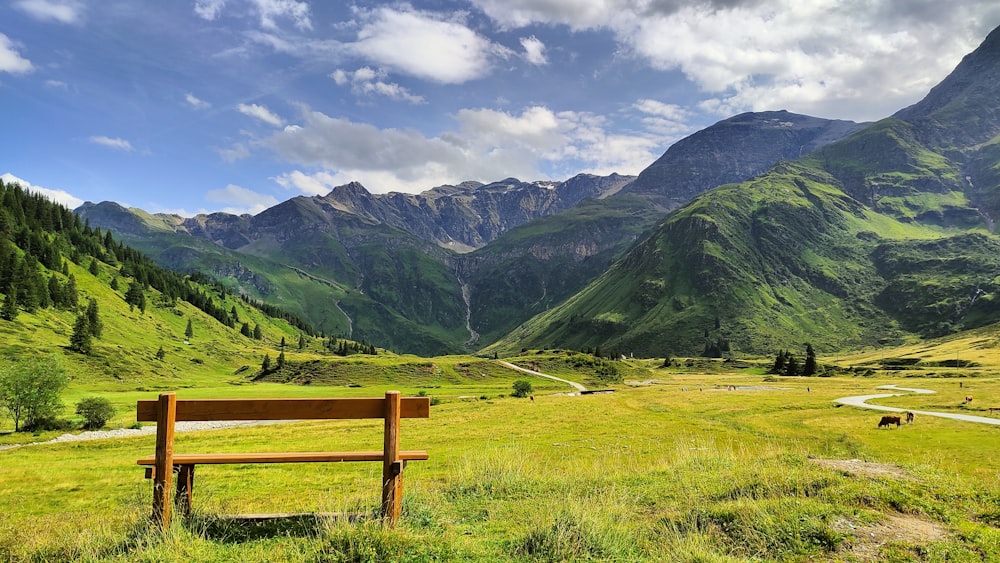 un banc en bois assis au sommet d’une colline verdoyante