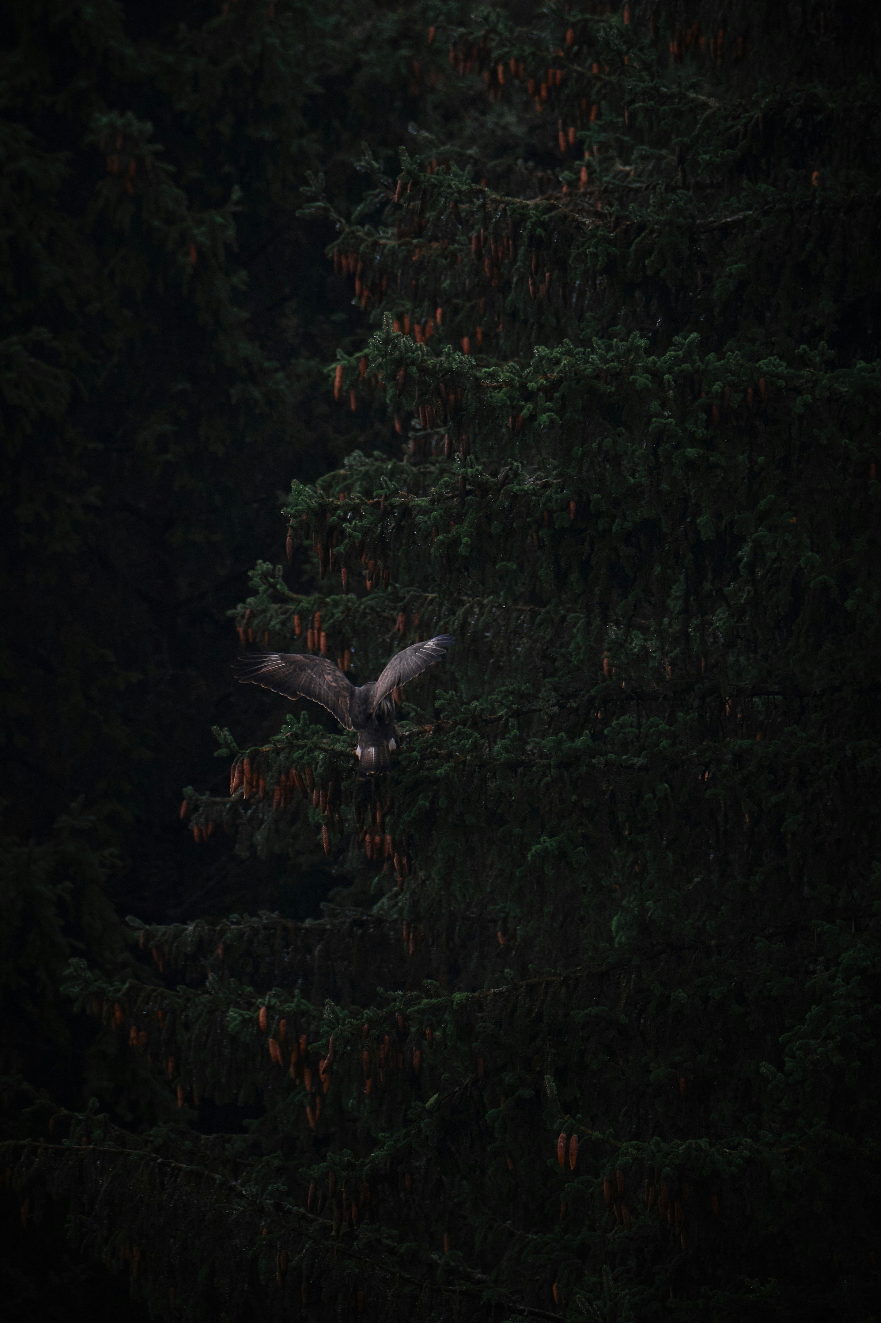 Photo by timschmidbauer