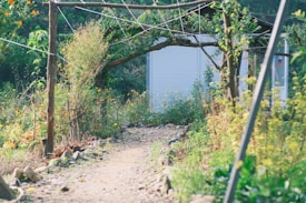 A narrow, rocky path leads through a lush, green garden. The path is bordered by stones and lined with tall grasses and wildflowers. An archway made of wooden beams and climbing plants frames the entrance to a small, white shelter or shed in the background.