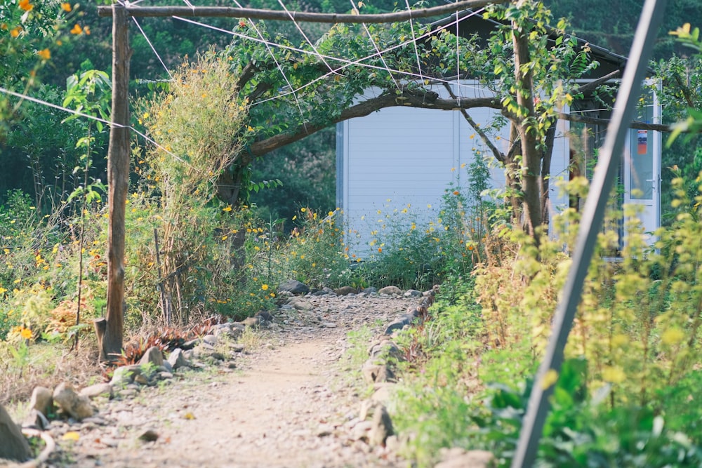 a dirt path leading to a blue garage