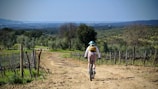 A cyclist wearing a helmet and backpack rides along a dirt path through a lush, green countryside. The trail is surrounded by fields and trees, with expansive views of rolling hills and possibly the sea in the distance under a clear blue sky. The scene captures a serene and adventurous moment in nature.