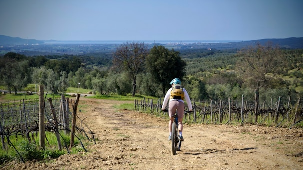 A cyclist wearing a helmet and backpack rides along a dirt path through a lush, green countryside. The trail is surrounded by fields and trees, with expansive views of rolling hills and possibly the sea in the distance under a clear blue sky. The scene captures a serene and adventurous moment in nature.