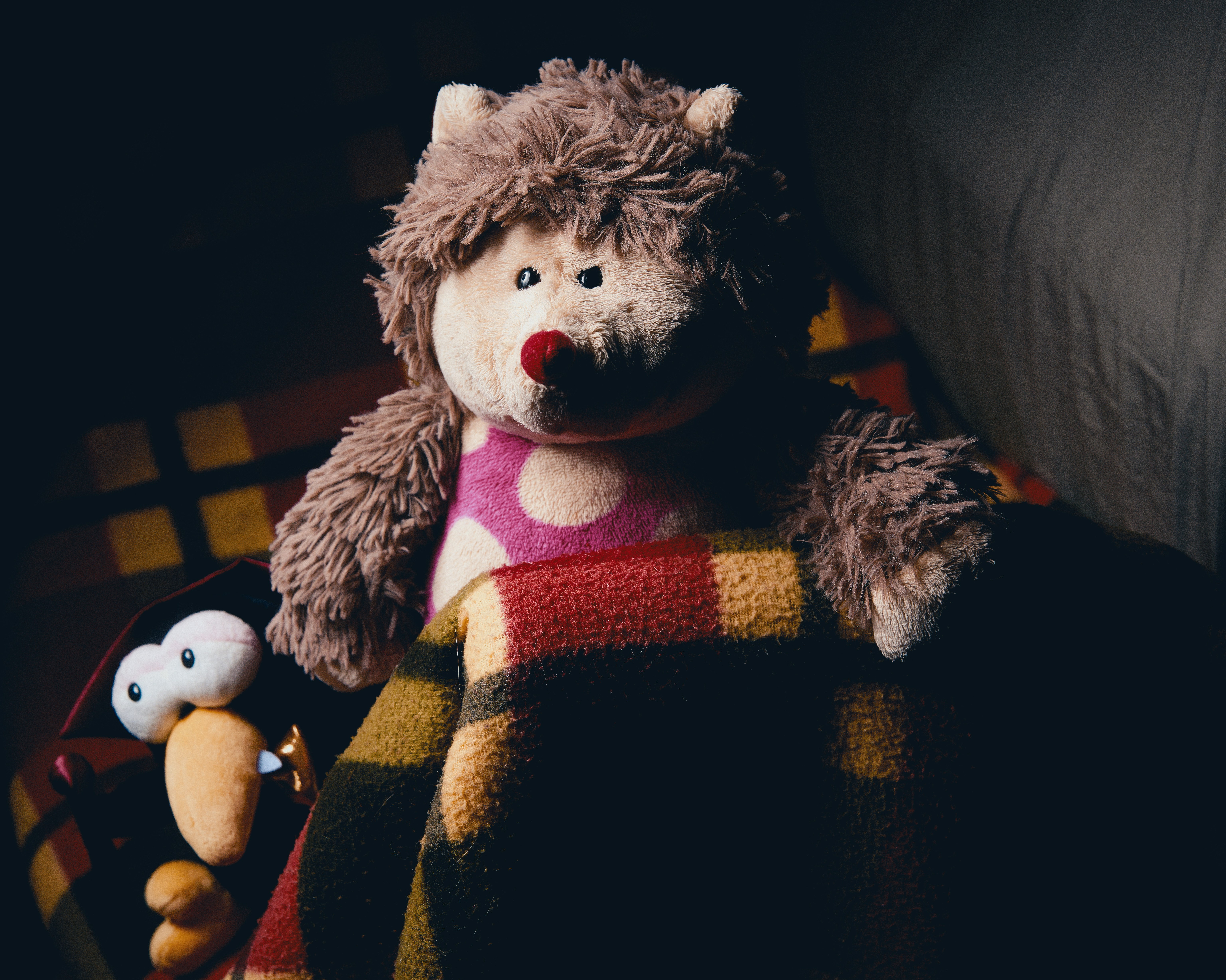 A plush hedgehog toy with a red nose and pink polka dot fabric on its body is sitting next to a smaller cartoonish stuffed bird with large, cartoonish eyes and an orange beak. Both are tucked under a multi-colored checkered blanket, on a bed.