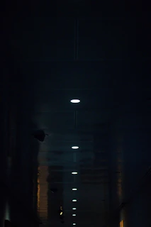 A dimly lit hallway with deep black walls and subtle navy lighting creating a mysterious, luxurious atmosphere.