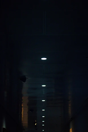 A dimly lit hallway with deep black walls and subtle navy lighting creating a mysterious, luxurious atmosphere.