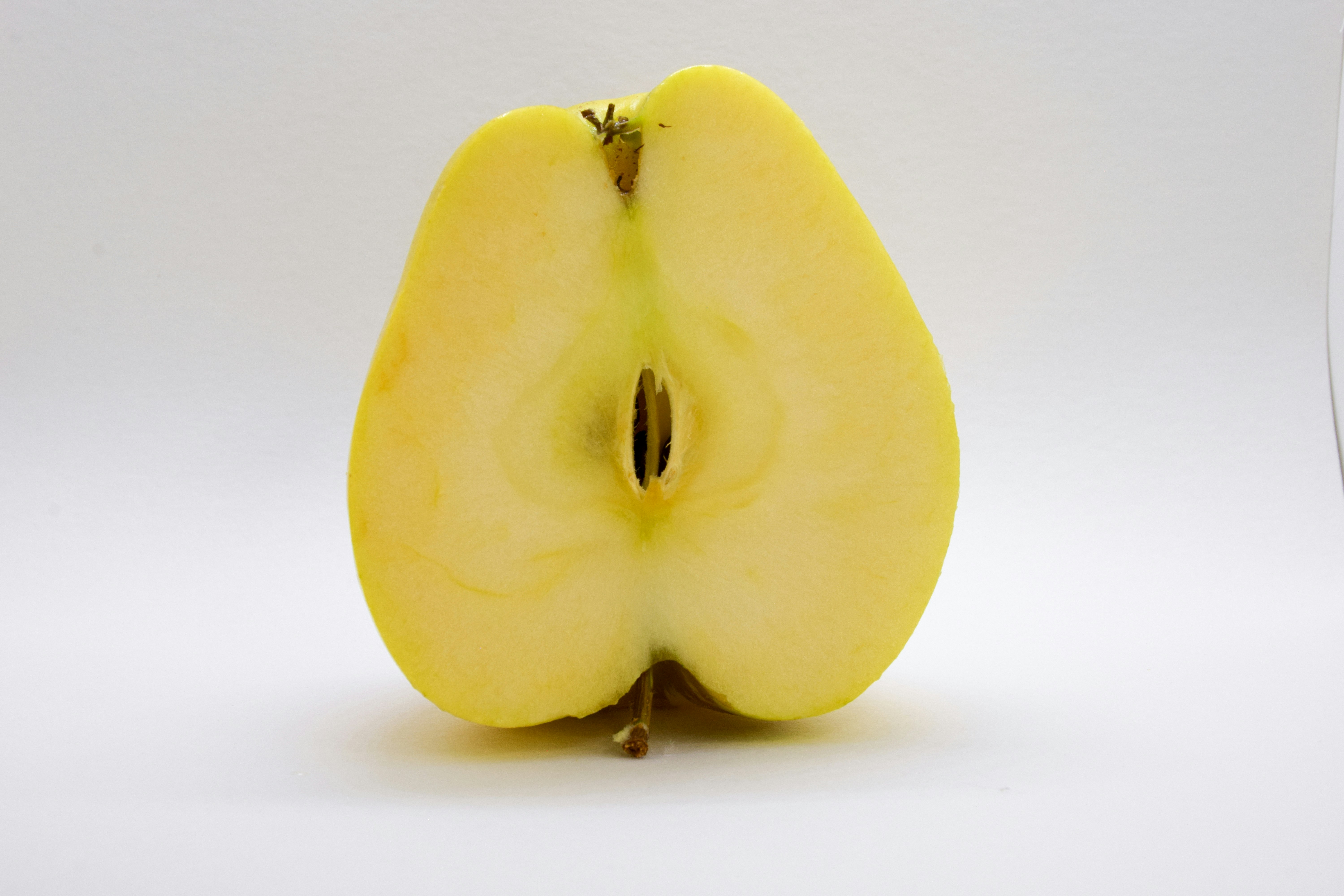 Photo by catiaclimovich