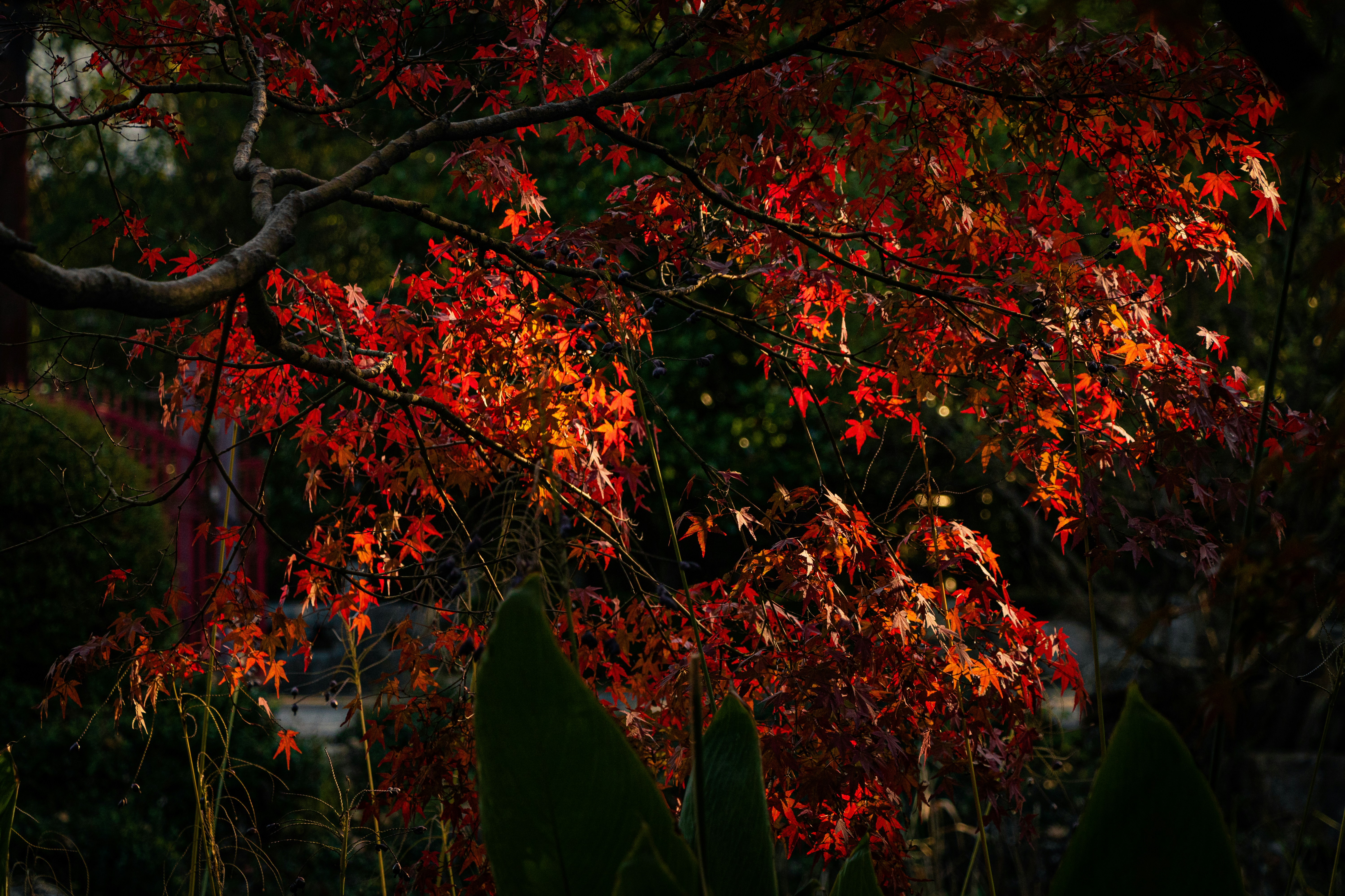 Photo by karw1n