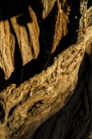 Close-up of a finely laser-engraved wooden business card with intricate details