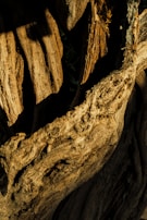 Close-up of a detailed wooden finish on a custom-built exhibition booth with integrated lighting.
