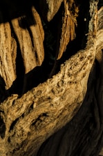 A close-up of handcrafted wooden furniture showcasing intricate details and natural textures.