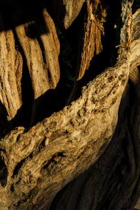 Close-up of handcrafted furniture details showcasing natural wood textures.