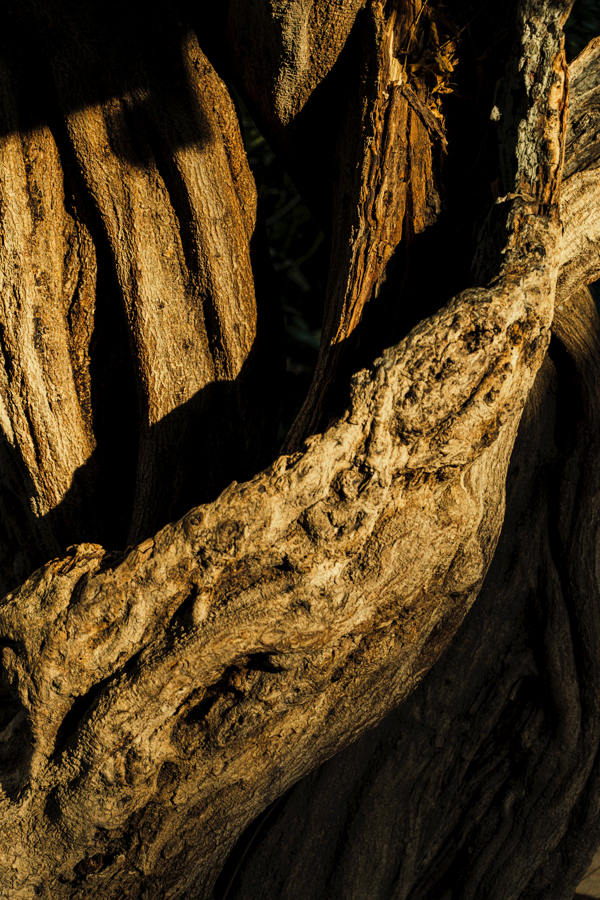 gray computer monitor