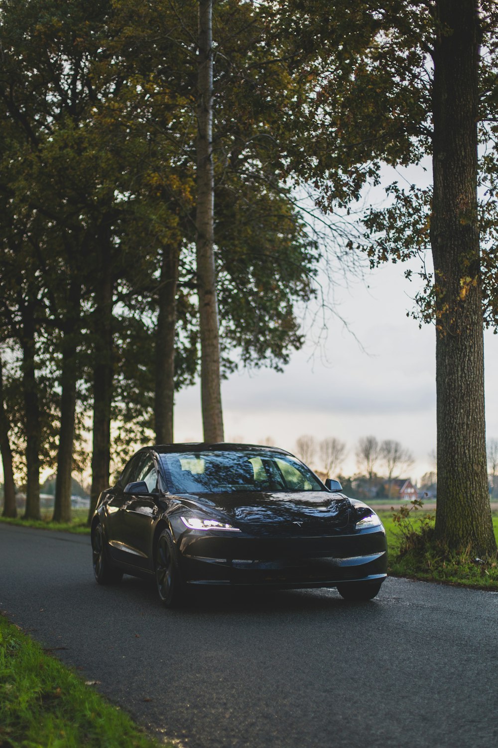 a car driving down a tree lined road