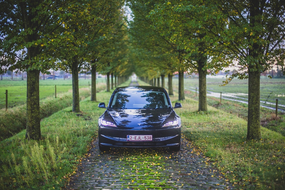 a car parked on a cobblestone road between trees