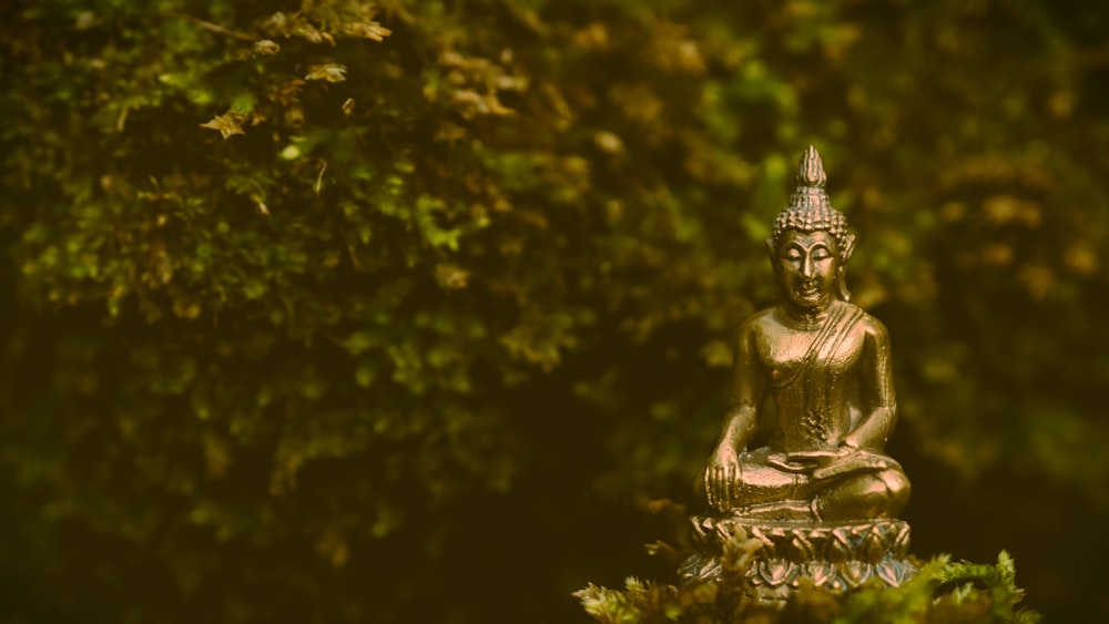 a golden buddha statue sitting in the middle of a forest