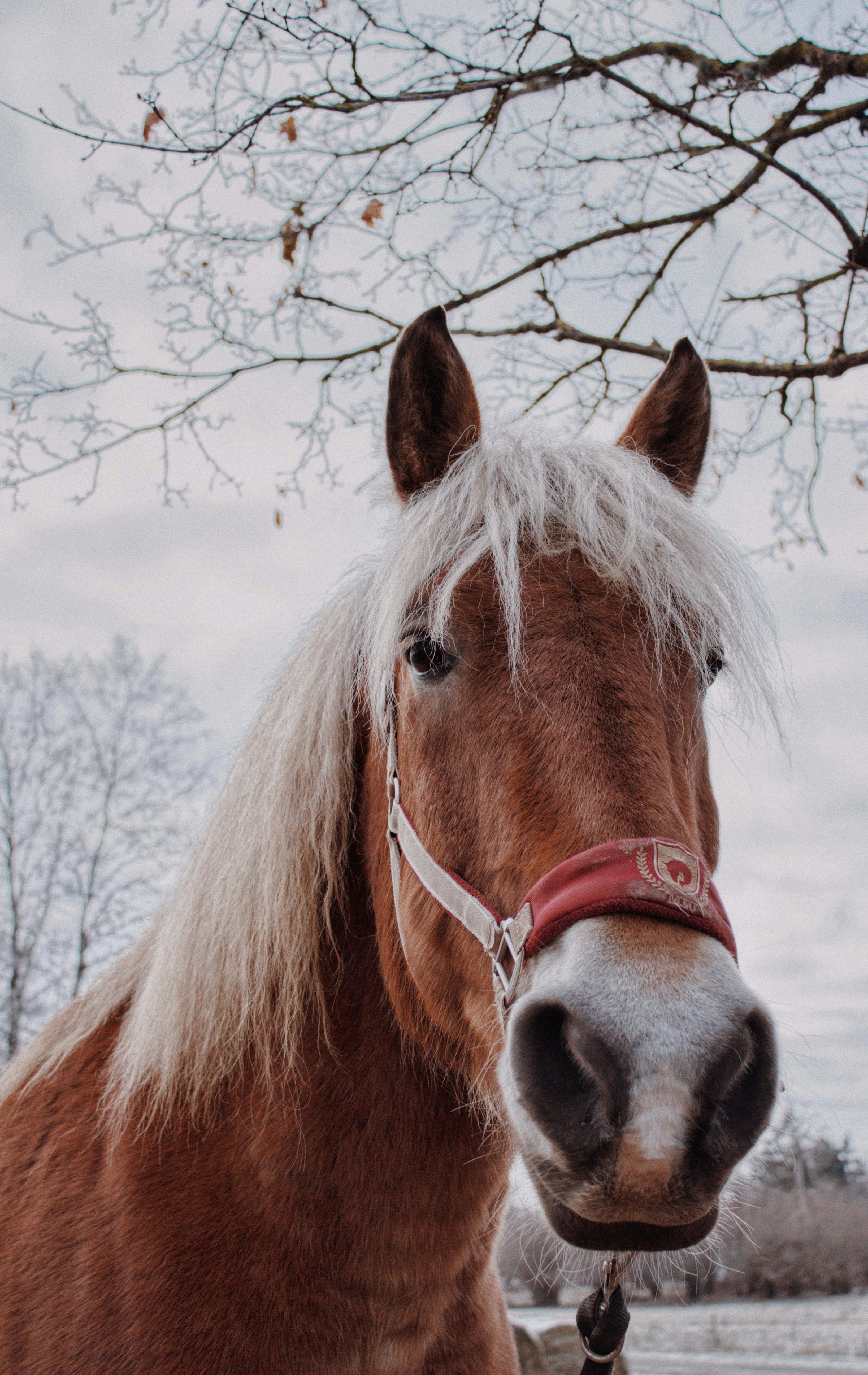 Photo by maximyuryshev