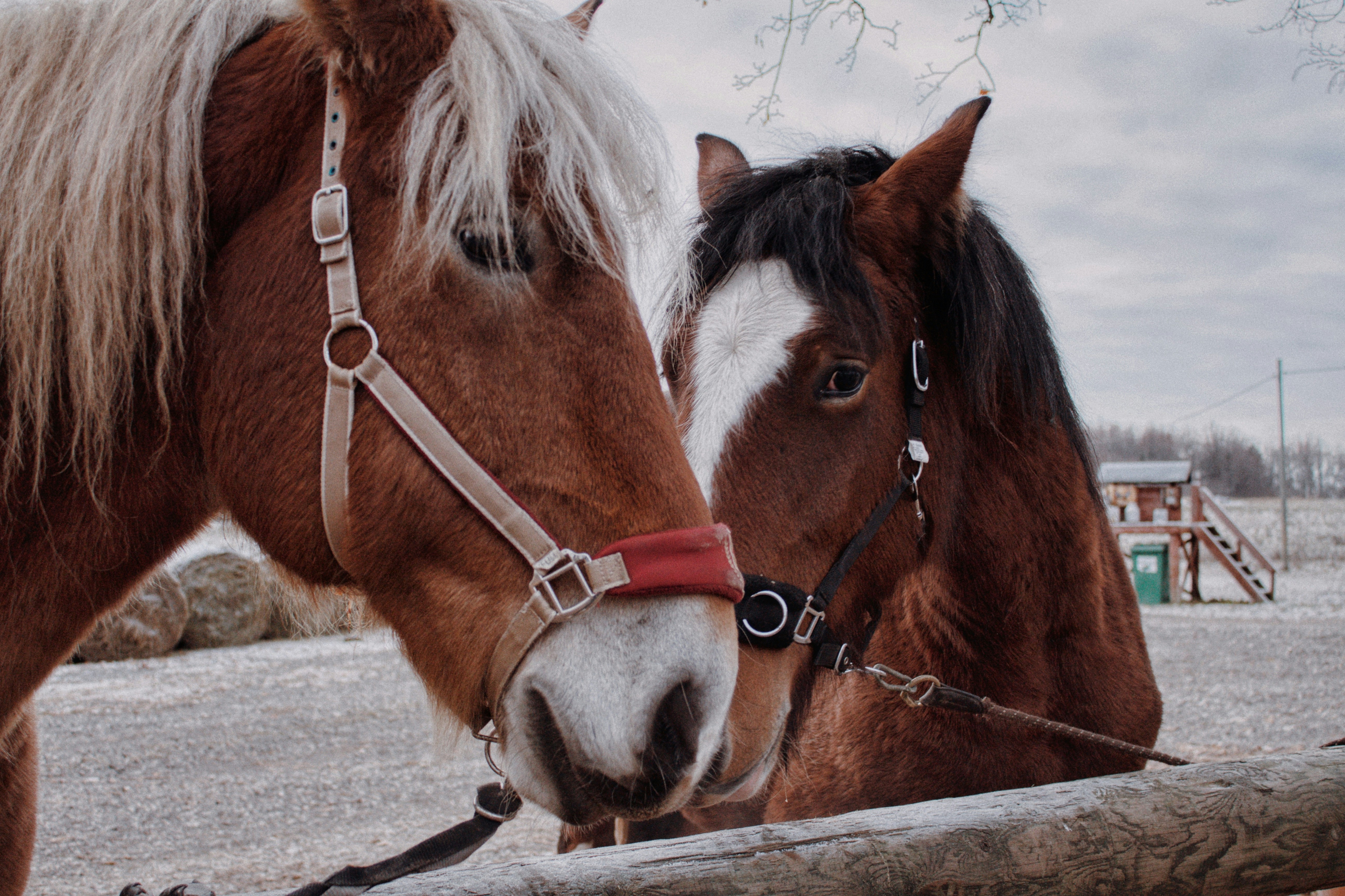 Photo by maximyuryshev