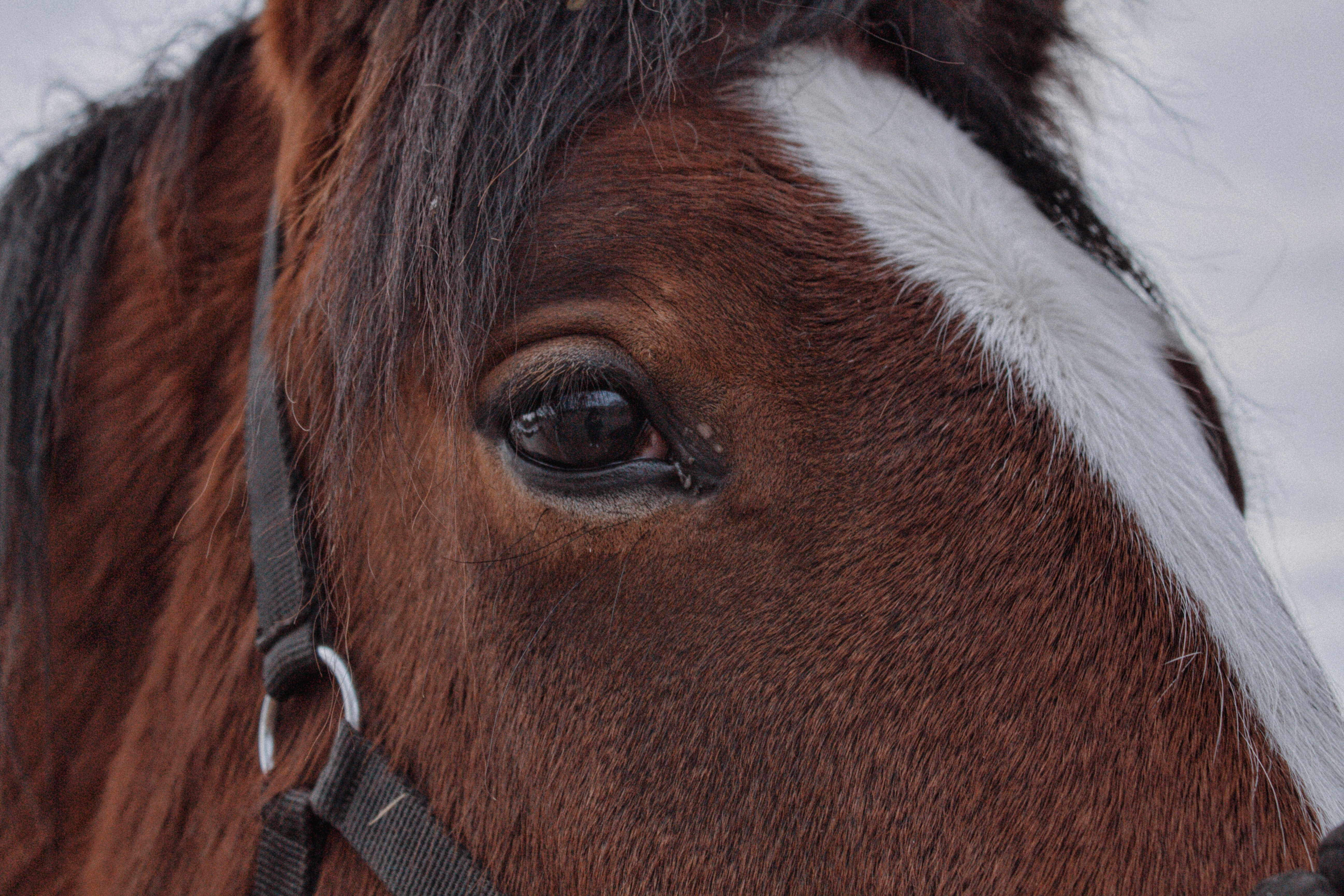 Photo by maximyuryshev