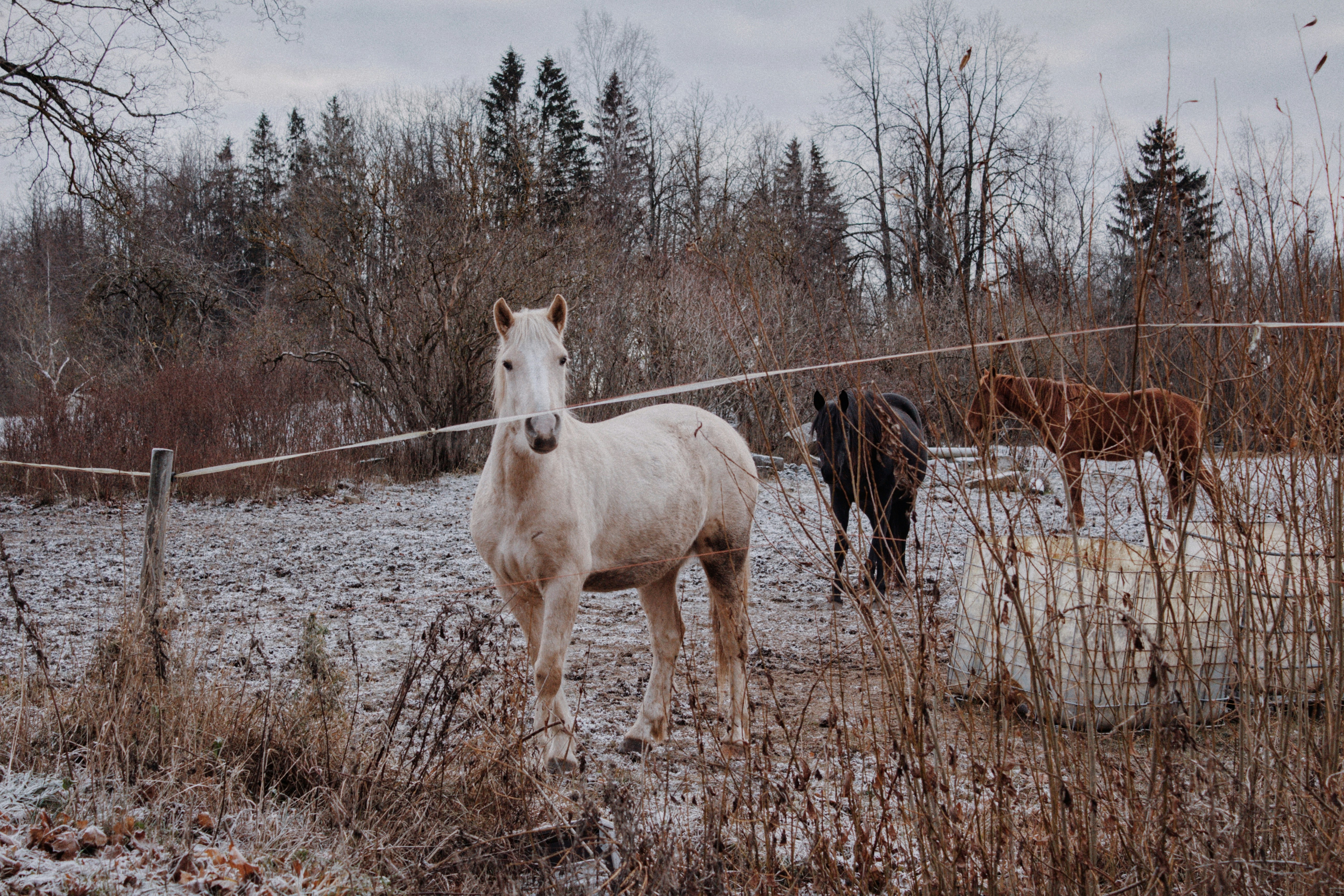 Photo by maximyuryshev