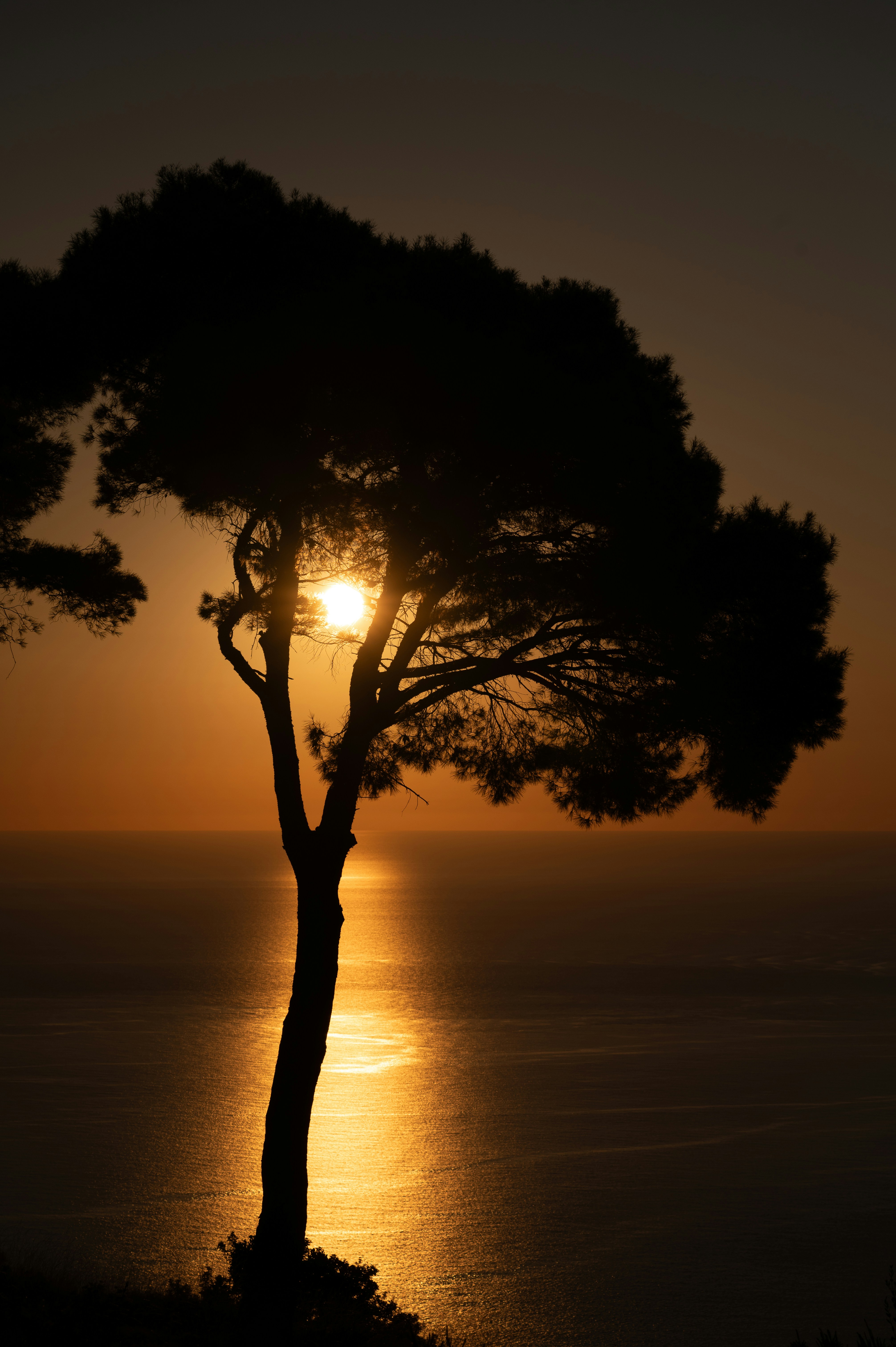 Photo by alexandravutof