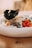 A gourmet dish featuring a combination of seafood and fresh ingredients. Plump shrimp, grilled calamari, and octopus are arranged with a scoop of creamy sauce, topped with green herbs. The dish is garnished with a black crispy element and accompanied by diced red tomatoes, creating a visually striking presentation.