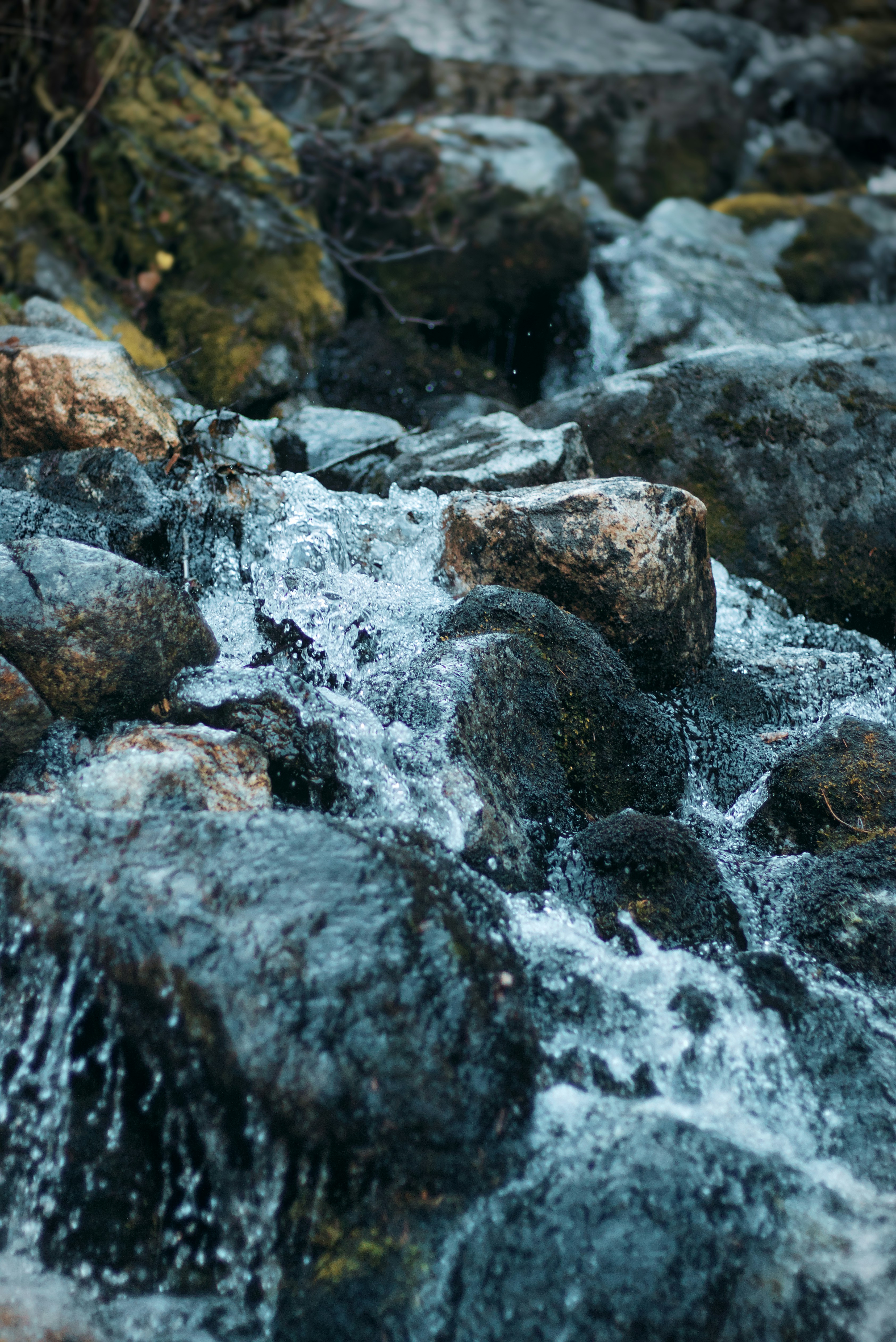 Photo by dcanadianphotographer