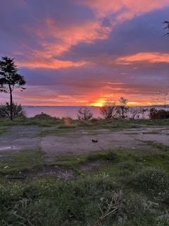 A vibrant sunset behind a cluster of layout plots featuring boundary signs and access paths.
