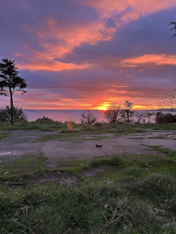 A vibrant sunset behind a cluster of layout plots featuring boundary signs and access paths.