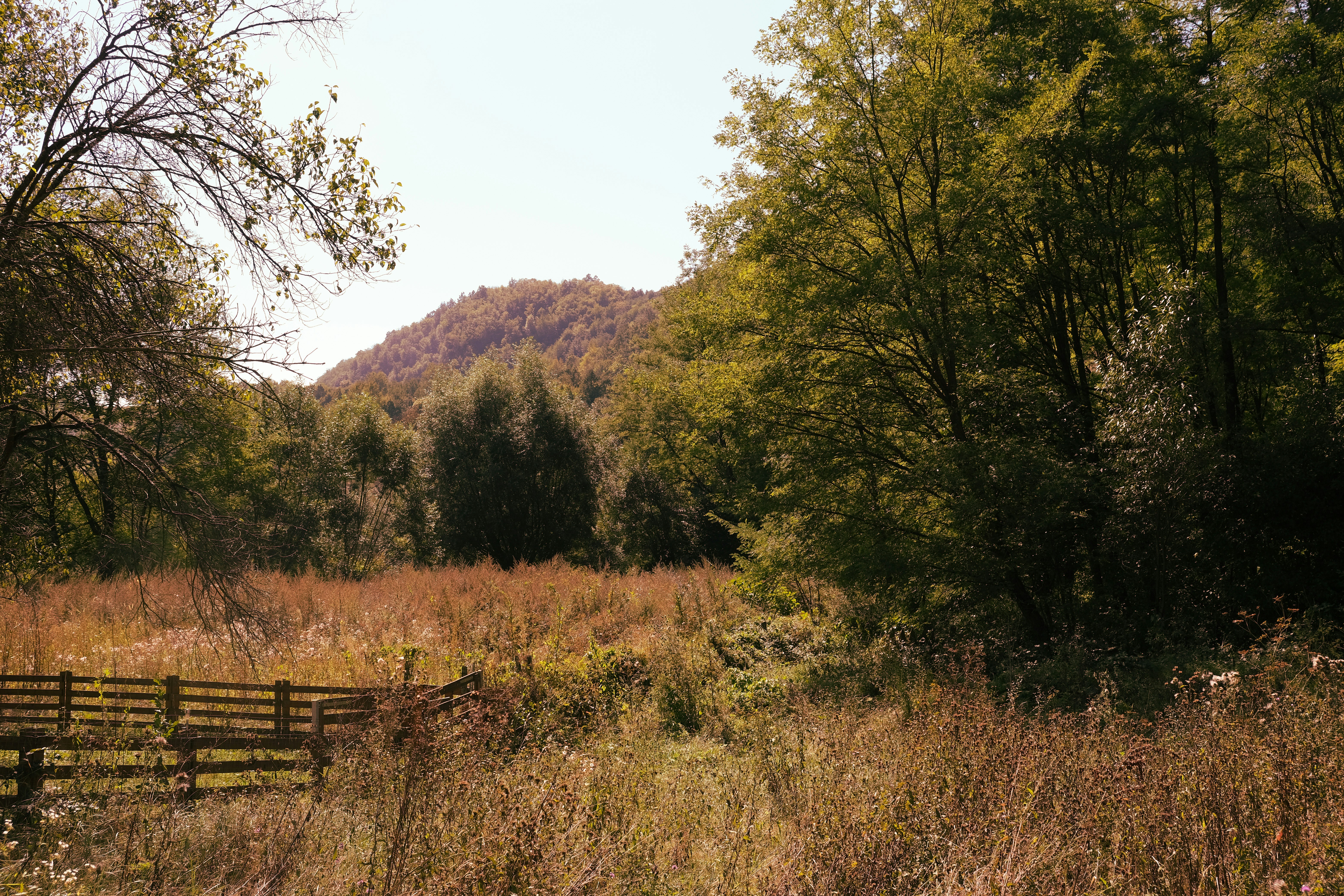 Hidden Valley Park