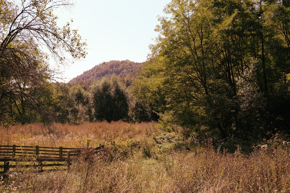 un campo con una valla de madera en el centro