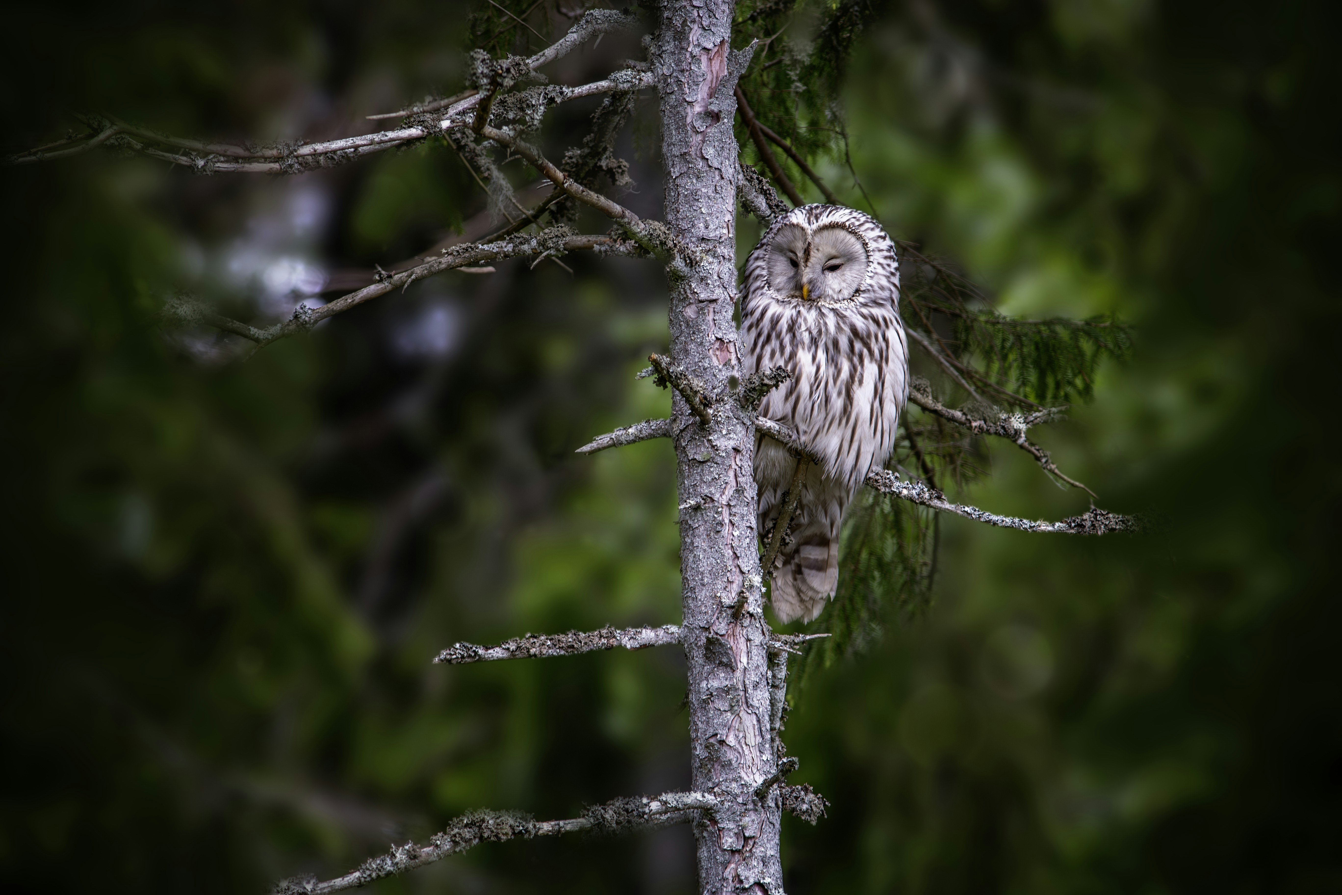 Photo by erik_karits