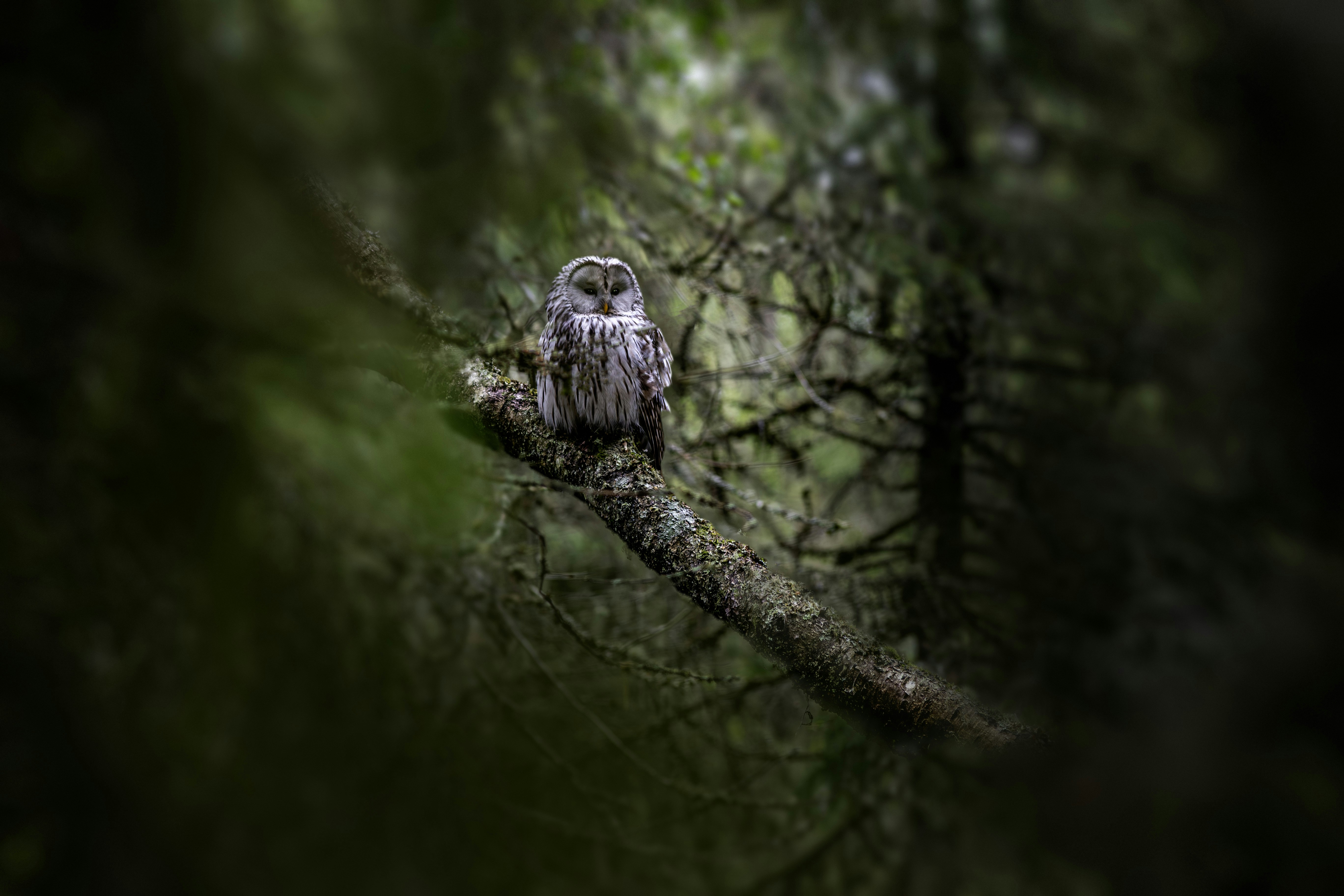 Photo by erik_karits