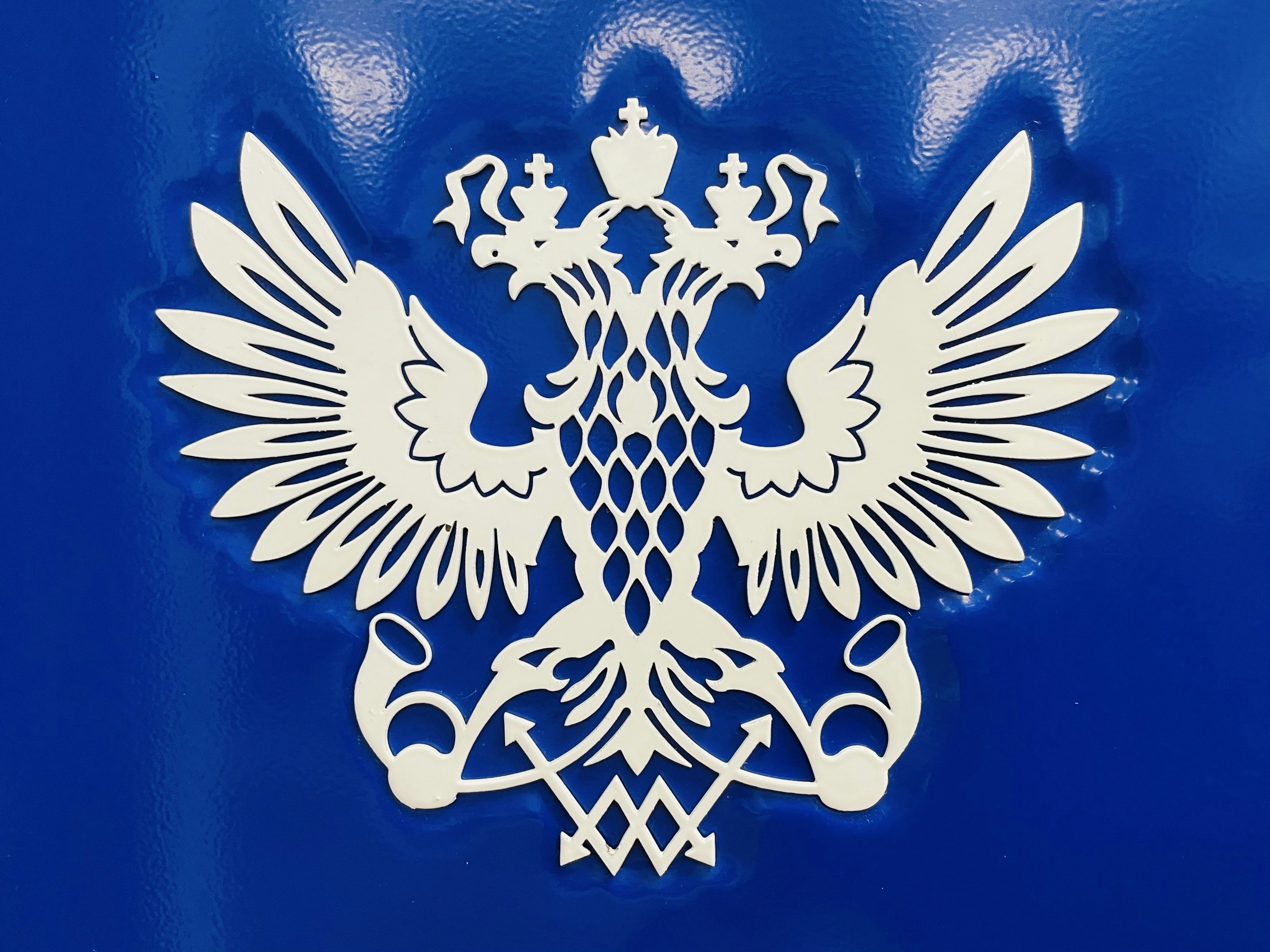 a large white bird with a crown on it's back