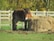 A brown horse stands near a metal hay feeder, surrounded by bales of dry, golden hay. It is in a grassy pasture with green grass in the foreground. A wooden fence encloses the area, and behind the fence, there are trees with autumn leaves, predominantly yellow and green.