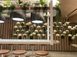 A modern interior space features a wall adorned with vertical cylindrical elements, each topped with lush greenery. Above, large pendant lights hang over a row of bar stools with brown cushioned seats. The environment suggests a blend of natural and contemporary design elements.