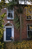 The image features a brick house with a dark blue door framed by white decorative molding. A tall, slender tree is next to the door, with leafy branches spread across the building. The yard is scattered with fallen yellow leaves, and there is a potted plant with dried flowers near the entrance. Two large windows with white curtains are on either side of the door.