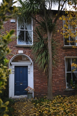 The image features a brick house with a dark blue door framed by white decorative molding. A tall, slender tree is next to the door, with leafy branches spread across the building. The yard is scattered with fallen yellow leaves, and there is a potted plant with dried flowers near the entrance. Two large windows with white curtains are on either side of the door.