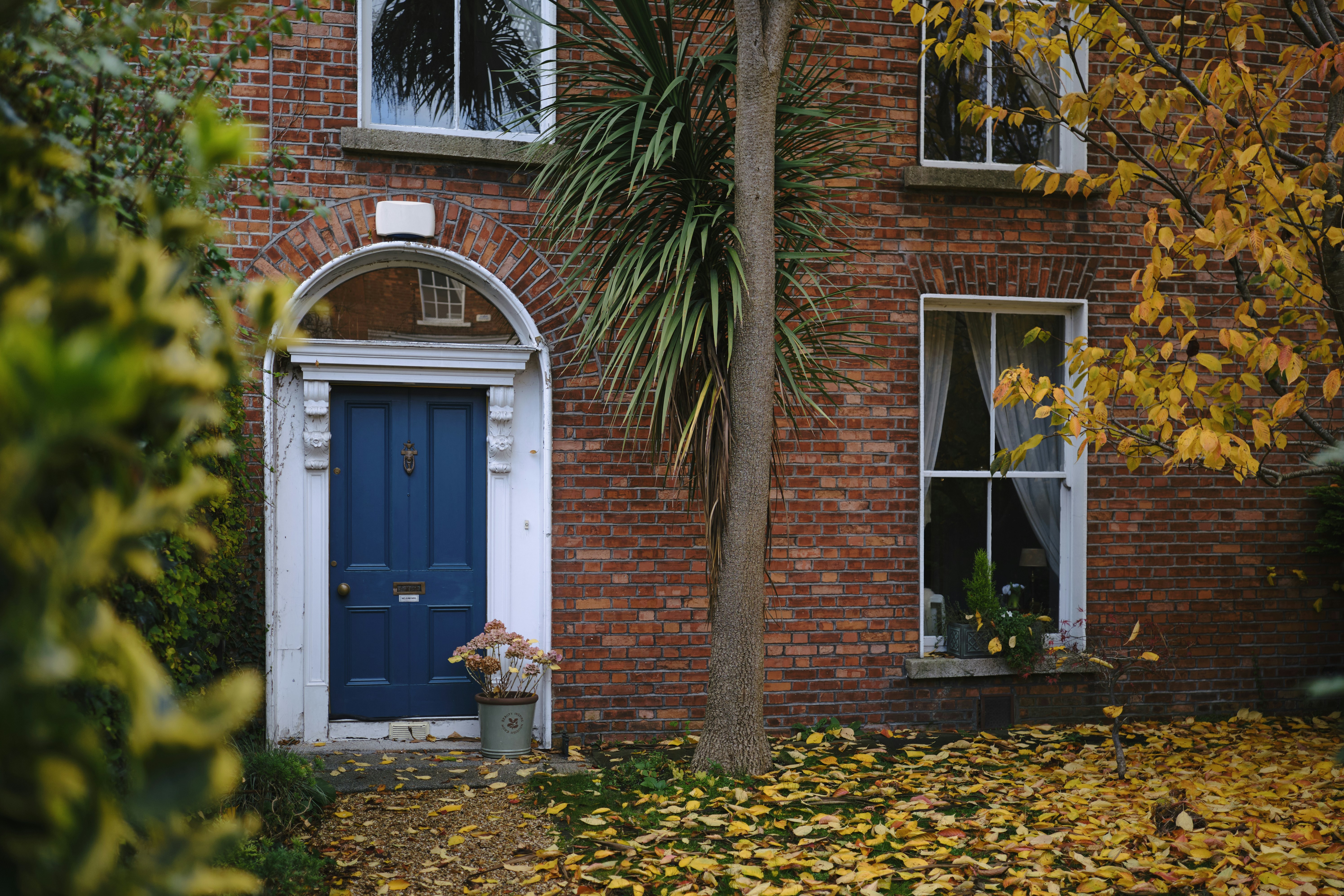 a house with a blue door surrounded by leaves