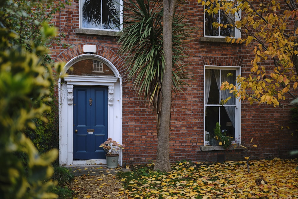 a house with a blue door surrounded by leaves