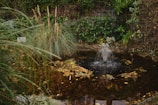 A small garden pond surrounded by lush greenery and tall grasses. In the center, a fountain sprays water, creating ripples on the pond's surface. The pond is filled with autumn leaves, and there's a variety of plants, including ferns and bushes, on the edges. The backdrop features a rustic stone wall partially covered with creeping plants.