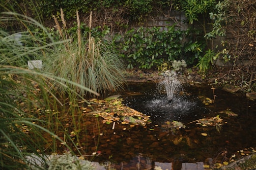 A small garden pond surrounded by lush greenery and tall grasses. In the center, a fountain sprays water, creating ripples on the pond's surface. The pond is filled with autumn leaves, and there's a variety of plants, including ferns and bushes, on the edges. The backdrop features a rustic stone wall partially covered with creeping plants.