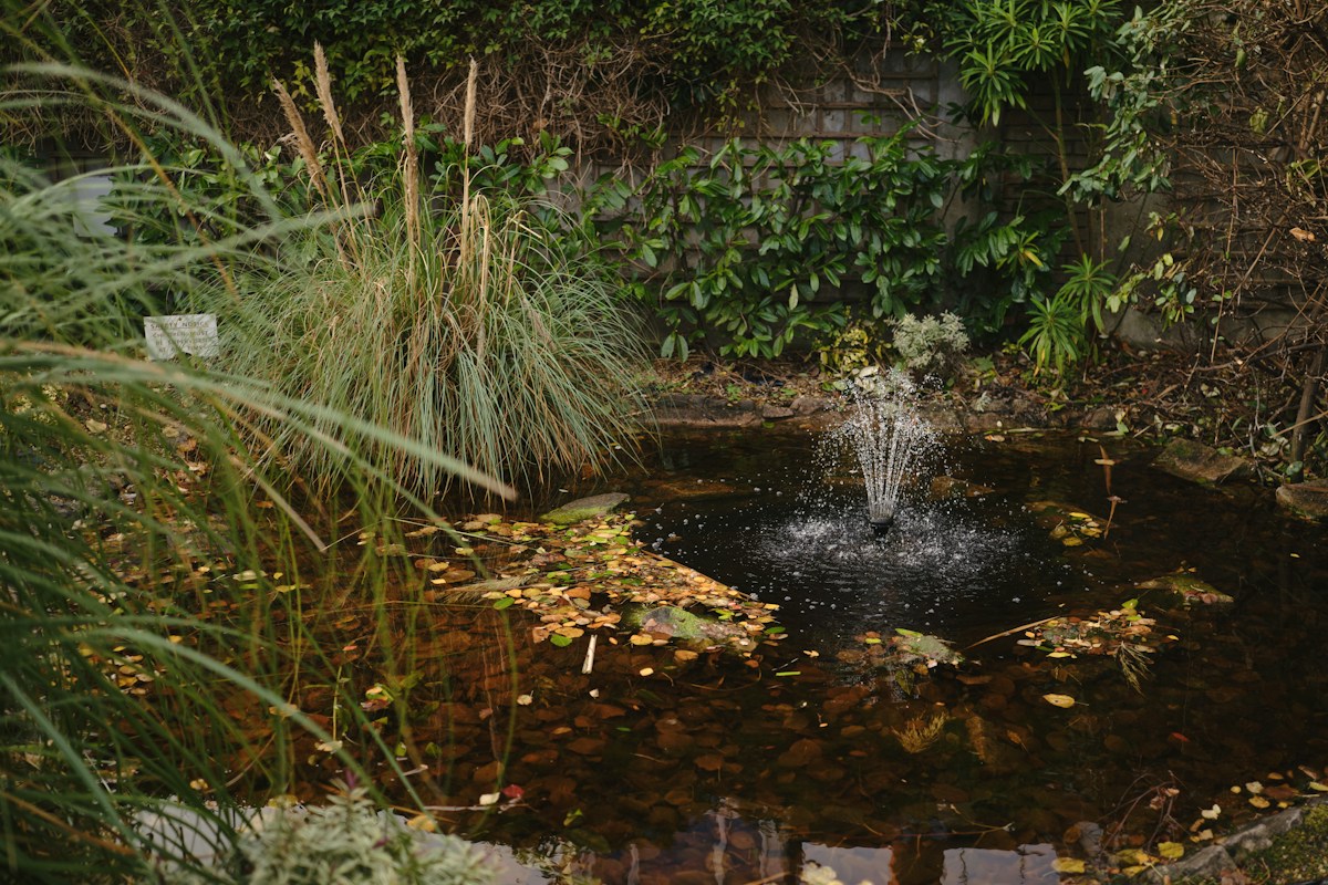 Pond Pump and Filter Maintenance image background image