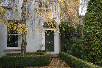Exterior shot showing a house with a newly painted forest green facade and crisp white trim.